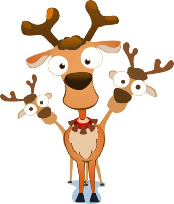 Reindeer