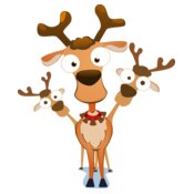 Reindeer