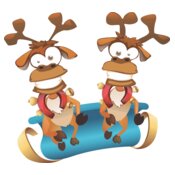 Reindeer